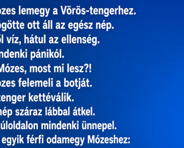 Mózes lemegy a Vörös-tengerhez.