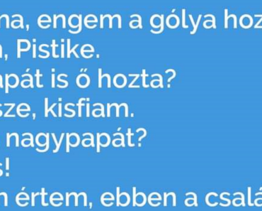 Vicc: Pistike kérdezi: -Mama, engem a gólya hozott?