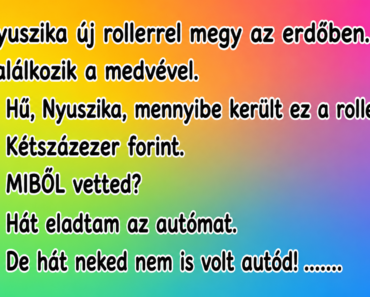 Nyuszika új rollerrel megy az erdőben.