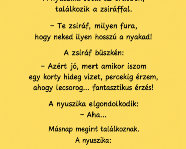 A nyuszika sétál az erdőben, találkozik a zsiráffal.