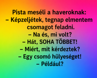 Pista meséli a haveroknak: Pista meséli a haveroknak: