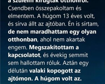 Terhesen és egy fillér nélkül mentem el otthonról, hogy megvédjem a babámat. Tíz évvel később a húgom végül rátalált arra az új életre, amit a semmiből építettem fel. Terhesen és egy fillér nélkül mentem el otthonról, hogy megvédjem a babámat. Tíz évvel később a húgom végül rátalált arra az új életre, amit a semmiből építettem fel.