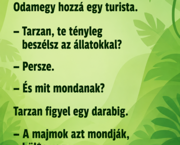 Tarzan ül a dzsungelben egy fán.