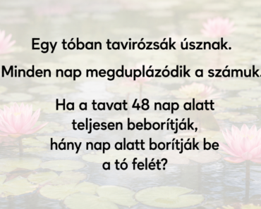 🤔 A legtöbb ember nem tudja megoldani ezt az egyszerűnek tűnő feladványt