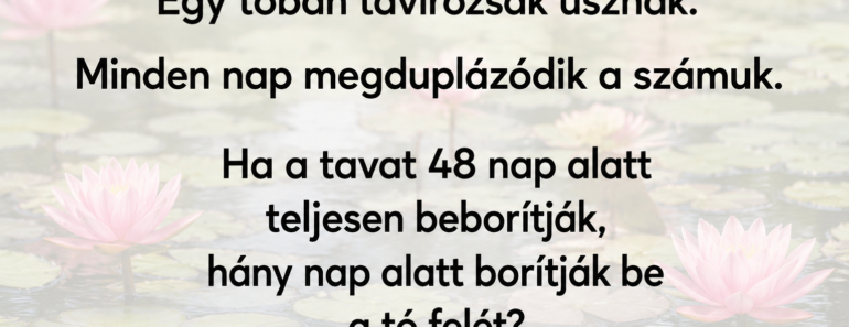 🤔 A legtöbb ember nem tudja megoldani ezt az egyszerűnek tűnő feladványt