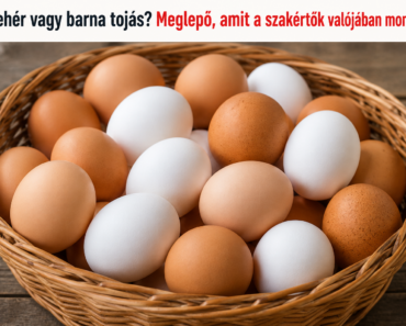 🥚 Fehér vagy barna tojás? Meglepő, amit a szakértők valójában mondanak