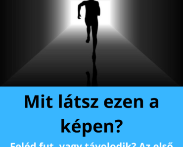 Ugyanazt a képet nézi mindenki, mégis két teljesen eltérő dolgot látnak rajta – Te mit veszel észre először?