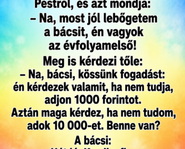 A falu legokosabb embere