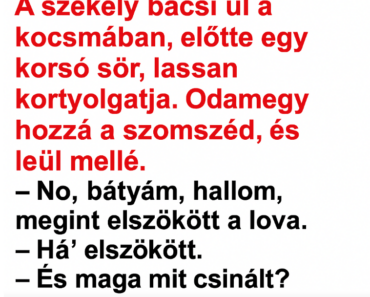 VICC: A székely bácsi ül a kocsmában, előtte egy korsó sör, lassan kortyolgatja.  Odamegy hozzá a szomszéd, és leül mellé.