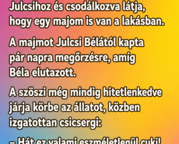 VICC: A szöszi átmegy a barátnőjéhez
