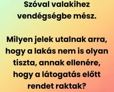 9 jel, hogy a lakásod koszosabb, mint hinnéd