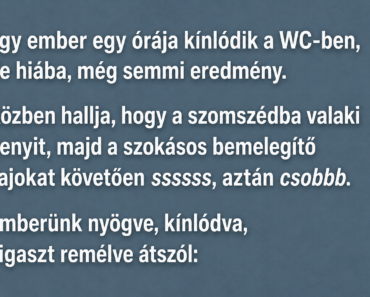 Egy ember egy órája kínlódik a WC-ben