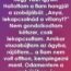 A hajnali hang – Egy édesanya emléke, ami örökre vele marad