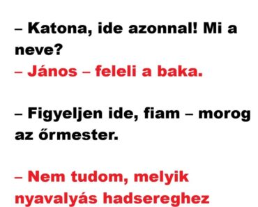 VICC: Az őrmester észrevesz egy újoncot és ráförmed