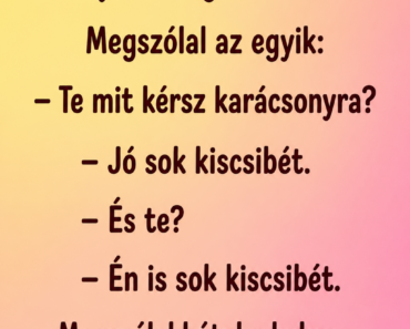 Két tyúk üldögél az udvaron.