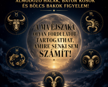✨ Makacs Bikák, titokzatos Skorpiók, álmodozó Halak, bátor Kosok és bölcs Bakok figyelem! A ma éjszaka olyan fordulatot tartogathat, amire senki sem számít.