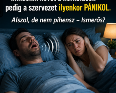 Mindenki nevet a horkoláson – pedig a szervezet ilyenkor PÁNIKOL. Alszol, de nem pihensz – Ismerős? Mindenki nevet a horkoláson – pedig a szervezet ilyenkor PÁNIKOL. Alszol, de nem pihensz – Ismerős?