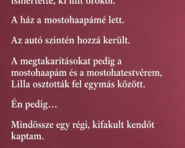 Mindenki kinevetett, amikor csak egy kopott kendőt örököltem – Aztán kiderült az igazság, és senki sem szólt egy szót sem