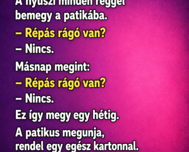 VICC: A nyúl a gyógyszertárban