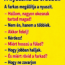 VICC: A nyuszika az erdőben
