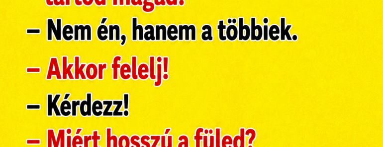 VICC: A nyuszika az erdőben