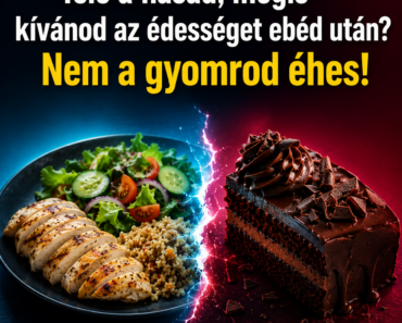 Tele a hasad, mégis kívánod az édességet ebéd után? Nem a gyomrod éhes! Tele a hasad, mégis kívánod az édességet ebéd után? Nem a gyomrod éhes!