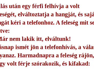 Vicc: Válás után egy férfi felhívja a volt feleségét