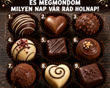 🍫 Válassz egy csokit, és megmondom, milyen nap vár rád holnap!
