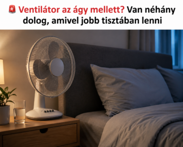 🚨 Ventilátor az ágy mellett? Van néhány dolog, amivel jobb tisztában lenni