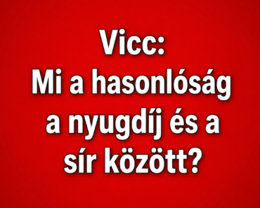 Vicc: Mi a hasonlóság a nyugdíj és a sír között?