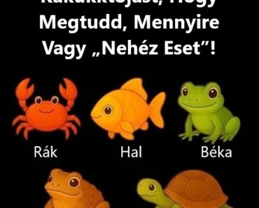 Mit árul el a gondolkodásodról egy egyszerű „kakukktojás” kvíz, és mire figyel az agyad először?