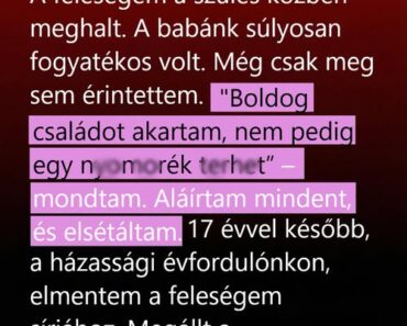 Tizenhét évvel azután, hogy elmentem, visszatértem bocsánatért