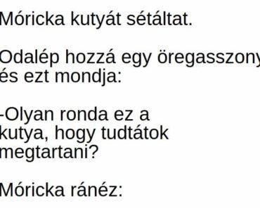 VICC: Móricka kutyát sétáltat.