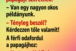 A férfi bemegy az állatkereskedésbe.
