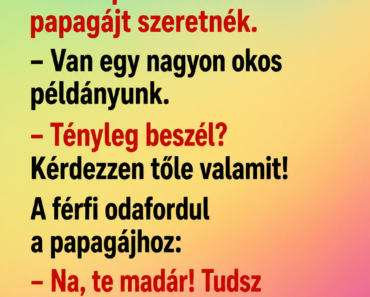A férfi bemegy az állatkereskedésbe.