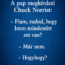 A pap megkérdezi Chuck Norrist: