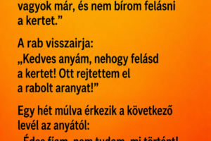 A rab levelet kap az édesanyjától a börtönbe: