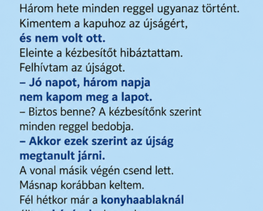 A szomszéd minden reggel ellopta az újságomat – egy hétig figyeltem, mire rájöttem, mit csinál vele