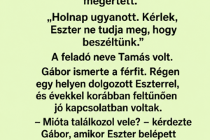 Amikor Gábor meglátta a felesége telefonján az üzenetet, egyetlen pillanat alatt biztos lett benne, hogy mindent megértett.