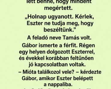 Amikor Gábor meglátta a felesége telefonján az üzenetet, egyetlen pillanat alatt biztos lett benne, hogy mindent megértett.