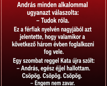 András felesége, Kata már hetek óta mondogatta: