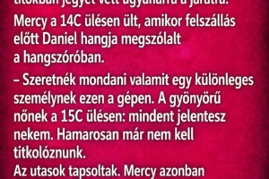 Évfordulónkon, pilóta férjem repülésével repültem, hogy meglepjem – aztán a bejelentése miatt..azonnal lefagytam..