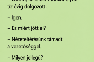 Az állásinterjú