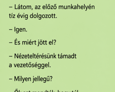Az állásinterjú