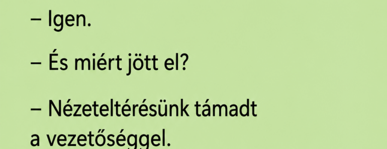 Az állásinterjú