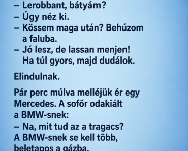 Egy gazda pöfög a traktorával az országúton, amikor a gép egyszer csak megáll.