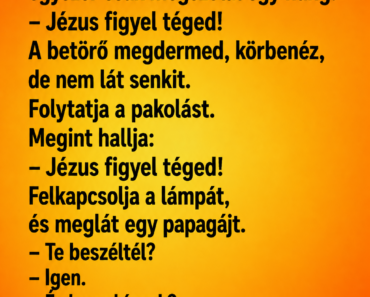 Vicc:  Éjszaka egy betörő bemászik egy házba.
