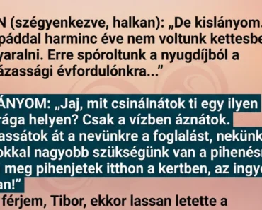 A lányom a szememre vetette, hogy luxusnyaralásra megyünk: „Mit csinálnátok ti ott 60 felett? Adjatok nekünk a foglalást!” – a férjem ekkor felállt, és olyat mondott, hogy a lányunk elsápadt
