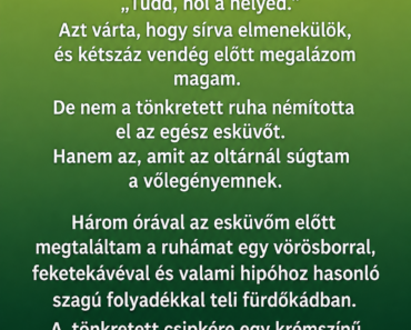 Három órával az esküvő előtt a leendő anyósom tönkretette az esküvői ruhámat, és mindössze négy szóval hagyott egy cetlit: