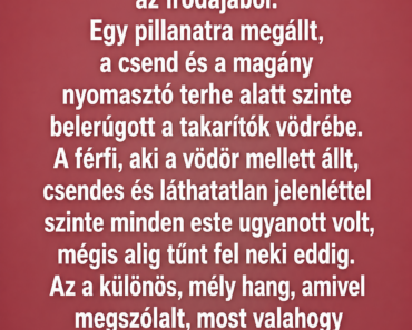 ❤️ Mindig szó nélkül, csendben takarított. Aztán egy nap a vezérigazgató meghívta egy drága vacsorára… A vendégek megmosolyogták, de csak addig, amíg ki nem derült, KI Ő valójában.